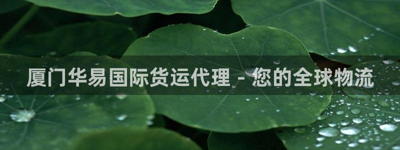 尊龙凯时代理官网入口：厦门华易国际货运代理 - 您的全球