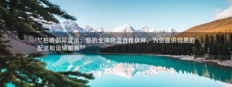 尊龙ktv怎么样：**柏威国际货运：您的全球物流合作伙伴