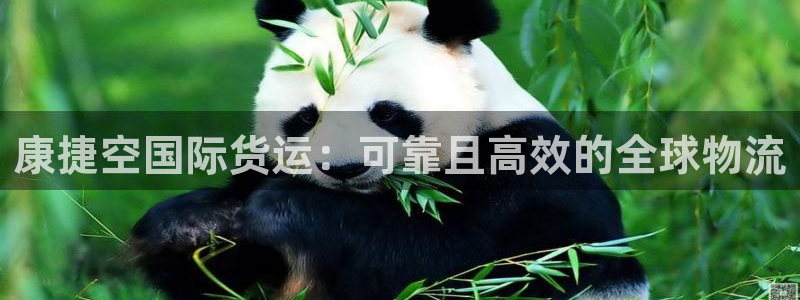 尊龙凯时官网首页：康捷空国际货运：可靠且高效的全球物流