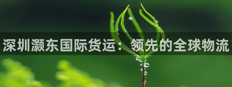 尊龙app最新版本官网