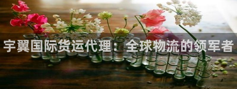 尊龙凯时充值不到账
