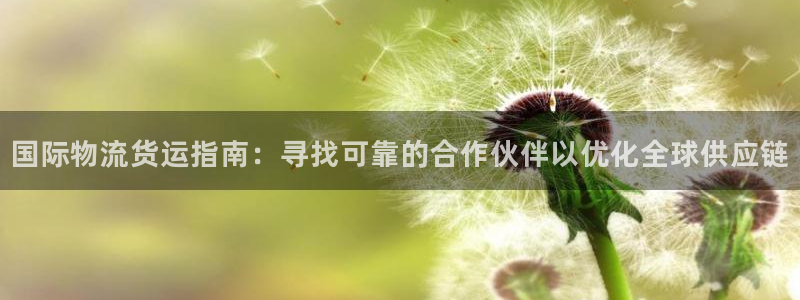 尊龙/人生就是博：国际物流货运指南：寻找可靠的合作伙伴以