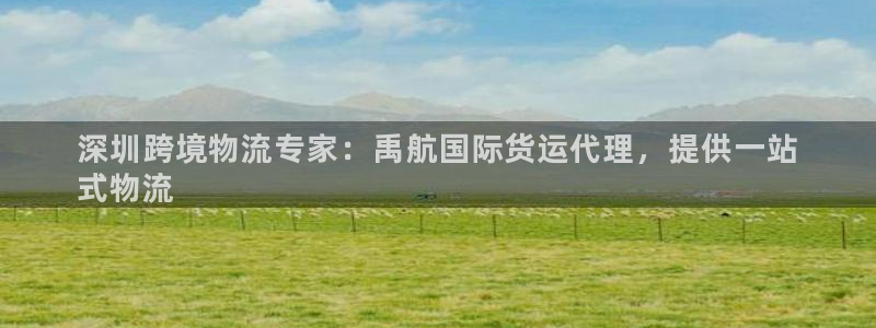 尊龙凯时 人生就是搏：深圳跨境物流专家：禹航国际货运代理