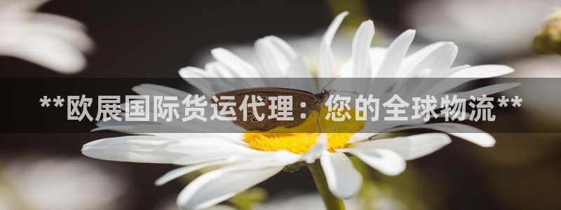 尊龙凯时logo