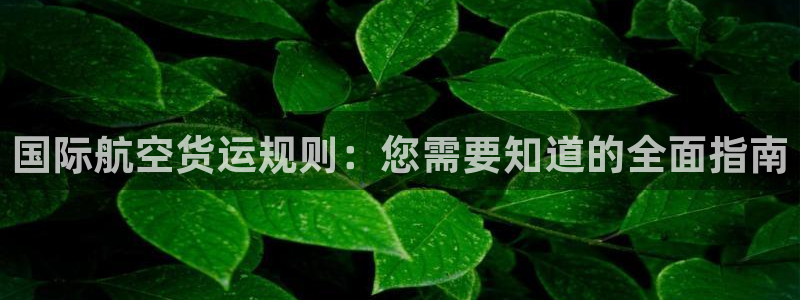 尊龙内地：国际航空货运规则：您需要知道的全面指南