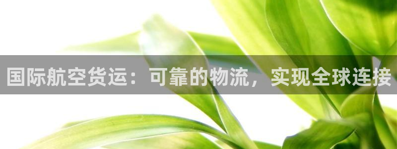 尊龙凯时人生就是博官网登录：国际航空货运：可靠的物流，实