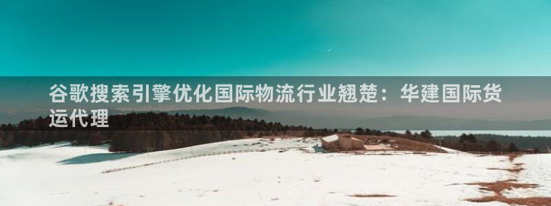 尊龙凯时官网正规吗：谷歌搜索引擎优化国际物流行业翘楚：华