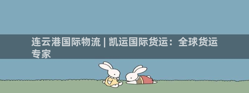 尊龙凯时赢不了：连云港国际物流 | 凯运国际货运：全球货