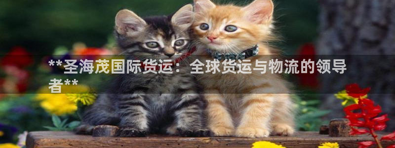 尊龙凯时公司官网：**圣海茂国际货运：全球货运与物流的领