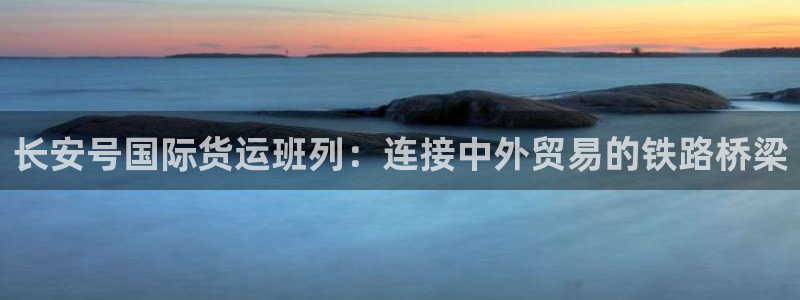 z6尊龙凯时官方：长安号国际货运班列：连接中外贸易的铁路