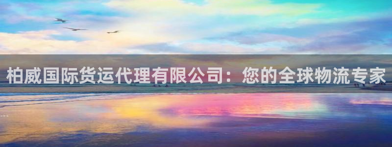 尊龙电子：柏威国际货运代理有限公司：您的全球物流专家