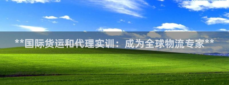 尊龙凯时电竞：**国际货运和代理实训：成为全球物流专家*