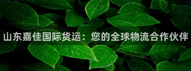 尊龙现金：山东嘉佳国际货运：您的全球物流合作伙伴