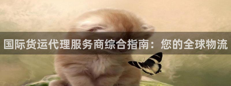 尊龙凯时人生就是搏z6com：国际货运代理服务商综合指南