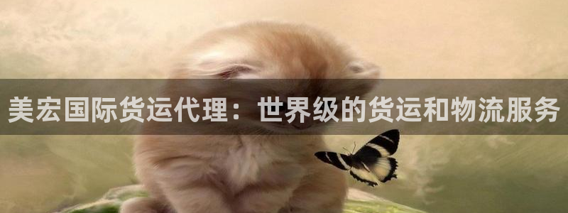 下载尊龙：美宏国际货运代理：世界级的货运和物流服务