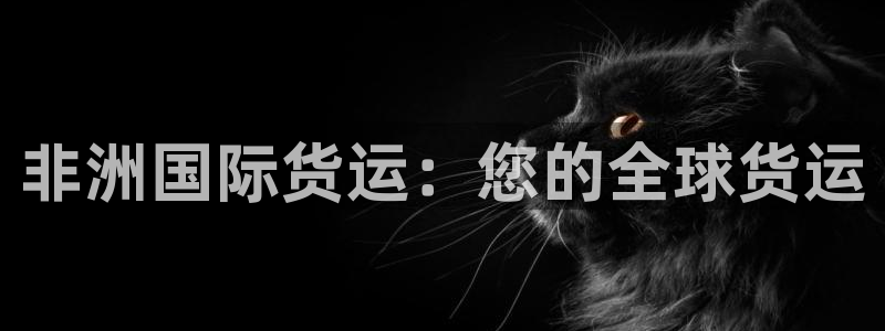 尊龙凯时app安装：非洲国际货运：您的全球货运
