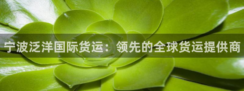 尊龙棋牌老板是谁：宁波泛洋国际货运：领先的全球货运提供商