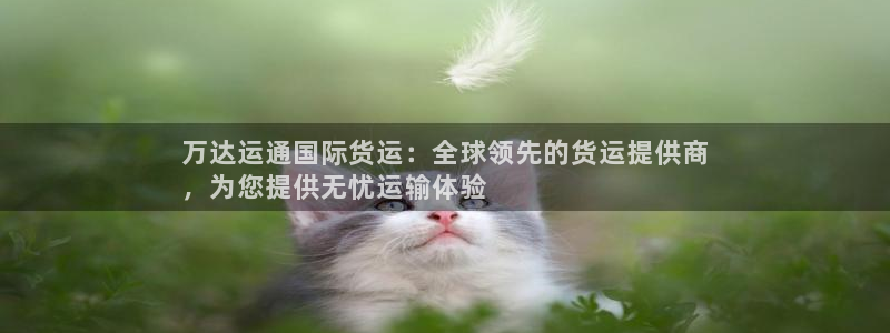 尊龙凯时充值不到账：万达运通国际货运：全球领先的货运提供