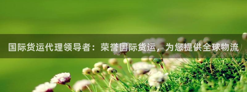 尊龙AG发财网：国际货运代理领导者：荣誉国际货运，为您提