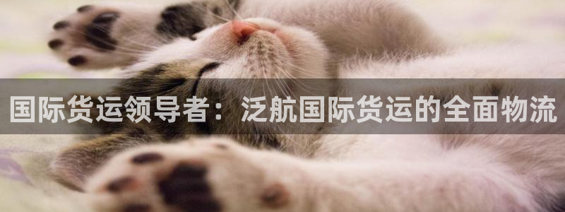 尊龙AG发财网：国际货运领导者：泛航国际货运的全面物流