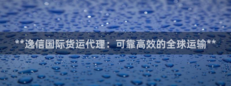 尊龙人生就是博D88：**逸信国际货运代理：可靠高效的全