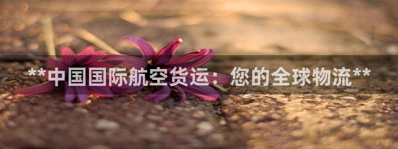 尊龙凯时人生就是博·(中国)官网首页：**中国国际航空货