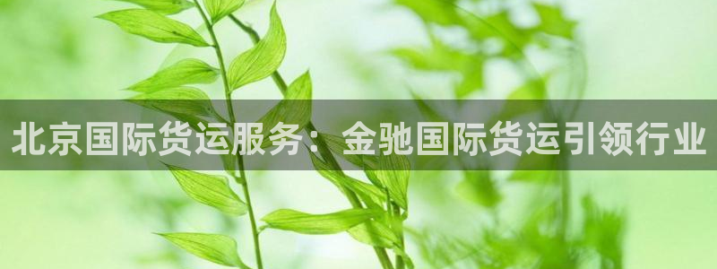 尊龙官方平台是正品吗：北京国际货运服务：金驰国际货运引领