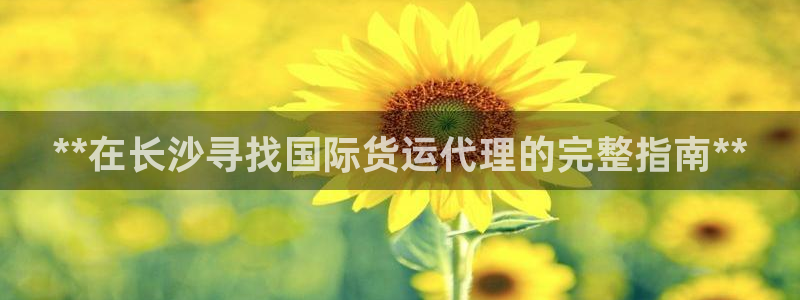尊龙凯时ag旗舰厅官网客服：**在长沙寻找国际货运代理的