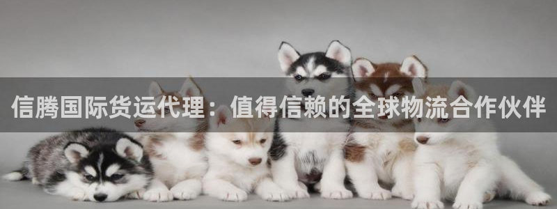 尊龙凯时能做退米么：信腾国际货运代理：值得信赖的全球物流