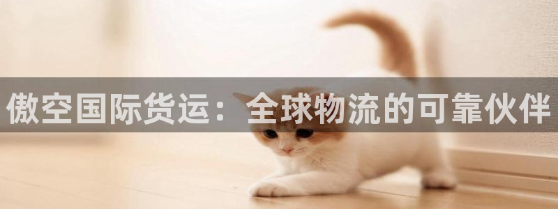 尊龙 国外：傲空国际货运：全球物流的可靠伙伴