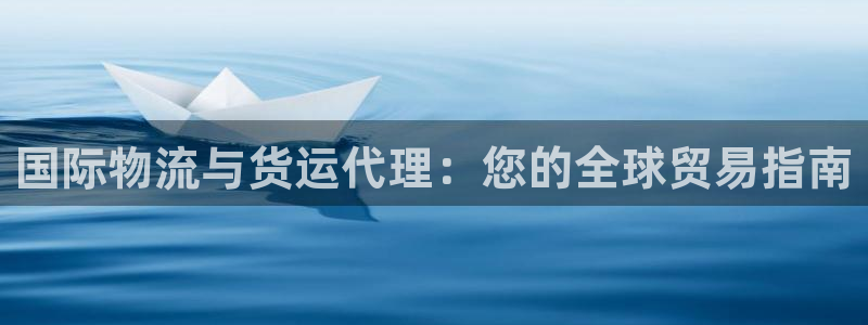 尊龙ag旗舰官网：国际物流与货运代理：您的全球贸易指南