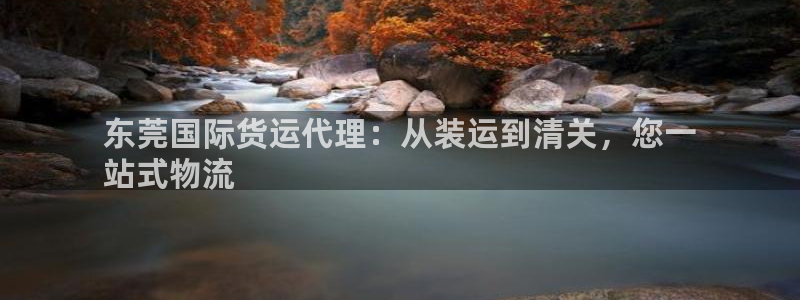 尊龙人生就是博客服：东莞国际货运代理：从装运到清关，您一
