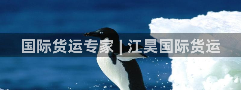 尊龙凯时是直营吗：国际货运专家 | 江昊国际货运