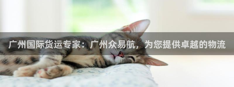 ag旗舰平台尊龙代言：广州国际货运专家：广州众易航，为您