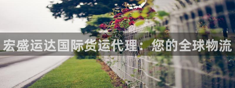 尊龙凯时公司官网：宏盛运达国际货运代理：您的全球物流