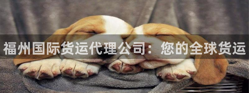 Z6尊龙凯时官方：福州国际货运代理公司：您的全球货运