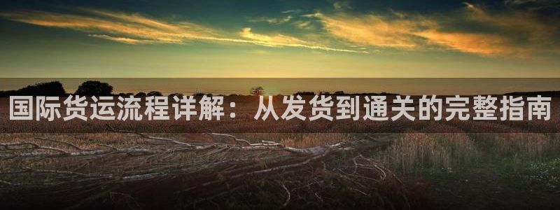 尊龙人生就是博现金：国际货运流程详解：从发货到通关的完整