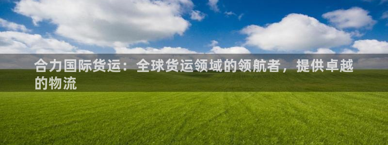 尊龙凯时人生就是搏!官网：合力国际货运：全球货运领域的领