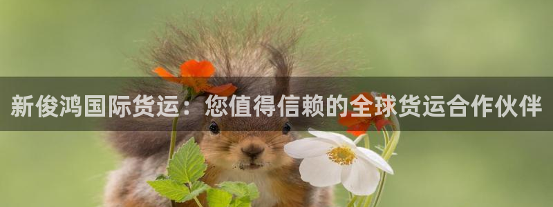 尊龙凯时-人生就是博中国官网：新俊鸿国际货运：您值得信赖