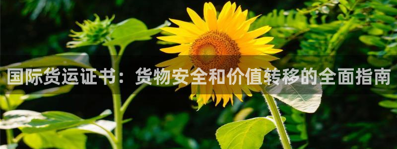 尊龙凯时始人生就是博