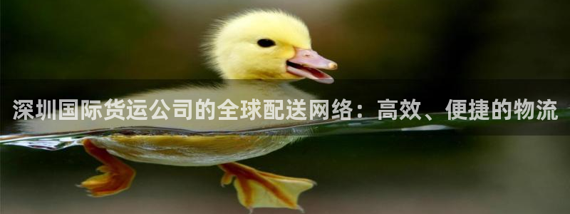 尊龙凯时返现