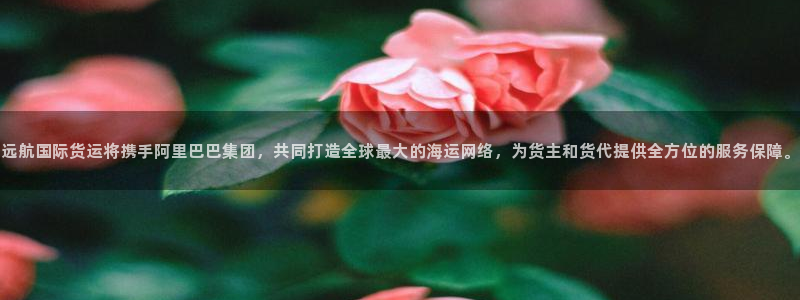 尊龙ag旗舰厅官网·(中国)官方入口