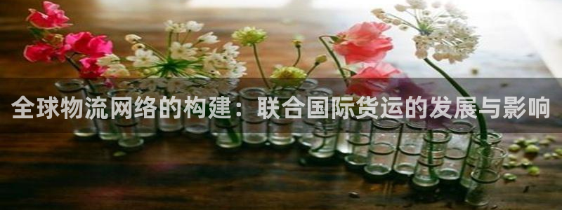 尊龙百度百科