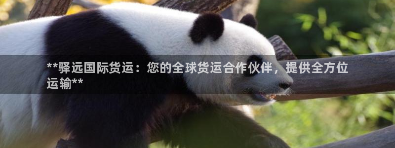 尊龙-人生就是博!：**驿远国际货运：您的全球货运合作伙