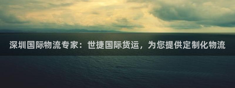 尊龙d88用现推选ag发财网：深圳国际物流专家：世捷国际